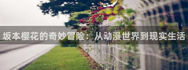 苹果omofun网页版入口：坂本樱花的奇妙冒险：从动漫世界到现实生活