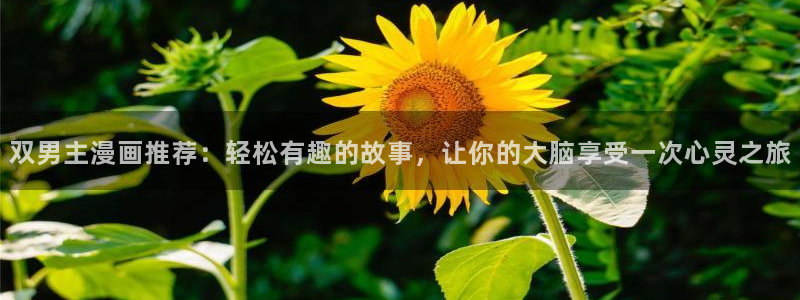 omofun官方app下载