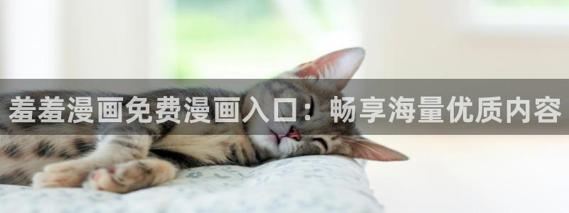 omofun动漫在哪下载