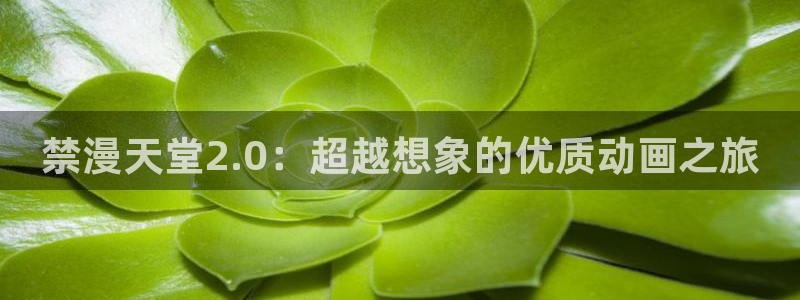 omofun 翻译
