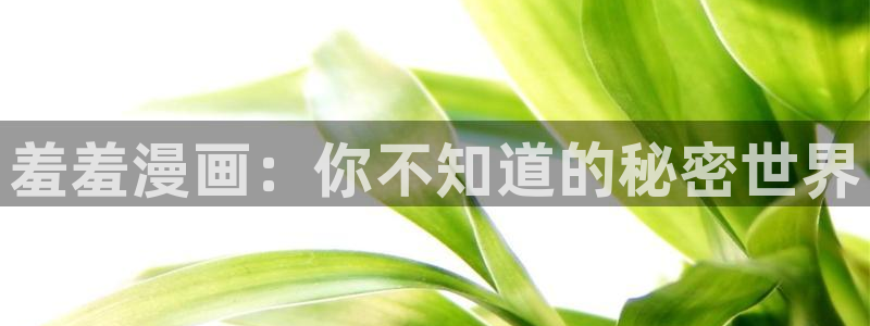 omofun 动漫