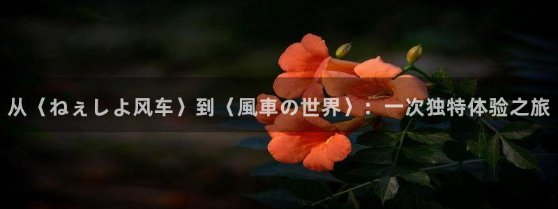 香蕉漫画入口