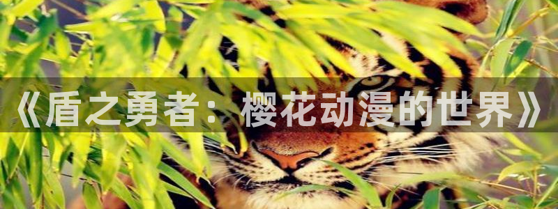 omofun下载ios