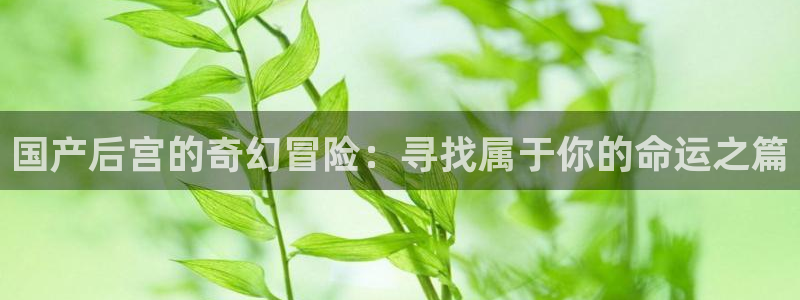 omofun官方正版：国产后宫的奇幻冒险：寻找属于你的命运之篇
