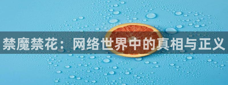 动漫共和国(omofun)官网下载：禁魔禁花：网络世界中的真相与正义
